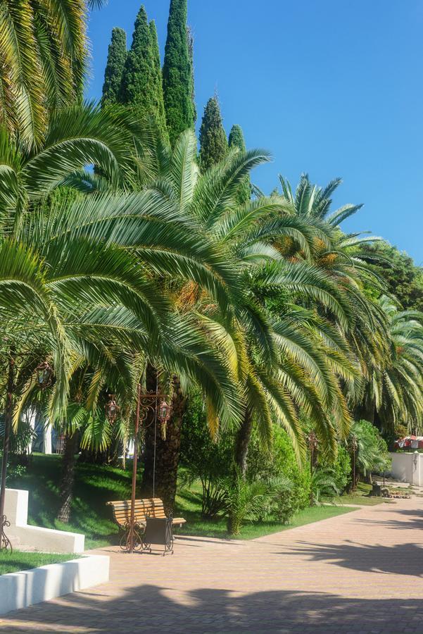 Hotel Cheluskintsev Γκάγκρα Εξωτερικό φωτογραφία